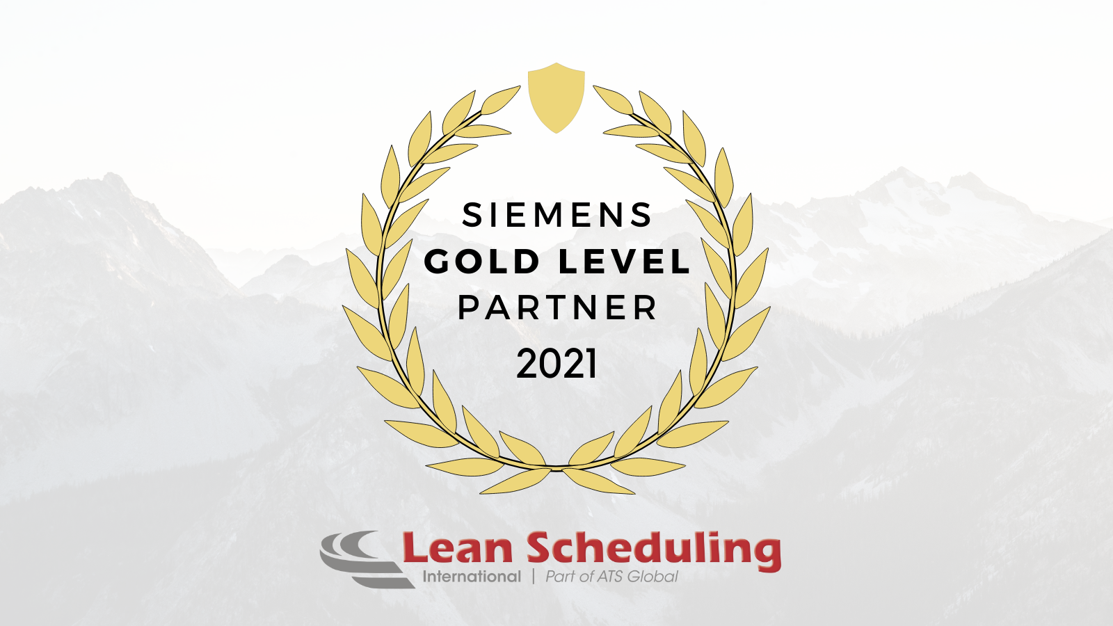 LSI Siemens Gold Partner